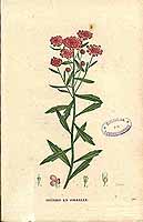  no thumbnail available