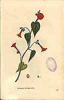  no thumbnail available