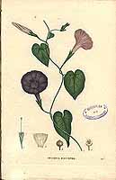  no thumbnail available