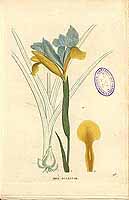  no thumbnail available