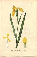  no thumbnail available