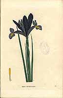  no thumbnail available