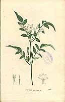  no thumbnail available