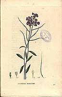  no thumbnail available