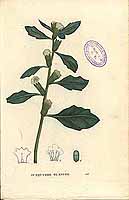  no thumbnail available