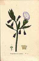  no thumbnail available