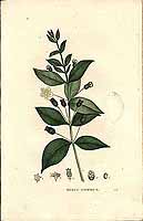  no thumbnail available