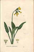  no thumbnail available