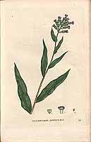  no thumbnail available