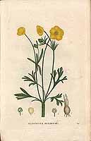  no thumbnail available