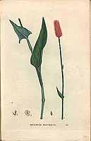  no thumbnail available