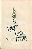  no thumbnail available