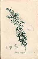  no thumbnail available