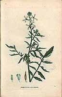  no thumbnail available