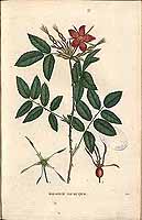  no thumbnail available