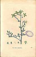  no thumbnail available