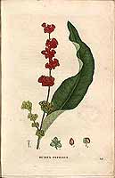  no thumbnail available