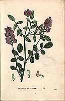  no thumbnail available