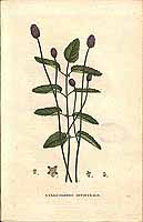  no thumbnail available