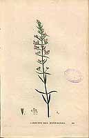  no thumbnail available