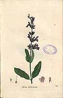  no thumbnail available