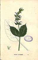  no thumbnail available