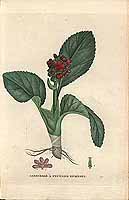  no thumbnail available