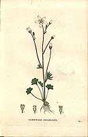  no thumbnail available