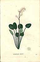  no thumbnail available