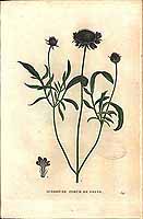  no thumbnail available