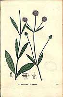  no thumbnail available