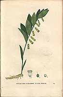  no thumbnail available