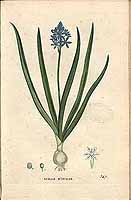  no thumbnail available