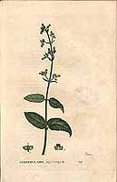  no thumbnail available