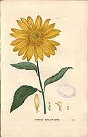  no thumbnail available