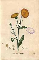  no thumbnail available