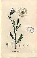  no thumbnail available