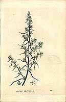  no thumbnail available