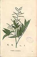  no thumbnail available