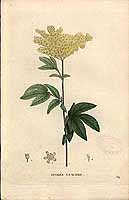  no thumbnail available