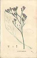  no thumbnail available