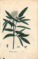  no thumbnail available