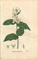  no thumbnail available