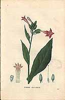  no thumbnail available