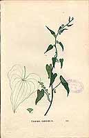  no thumbnail available