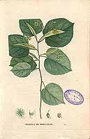  no thumbnail available