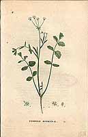  no thumbnail available