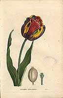  no thumbnail available