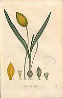  no thumbnail available