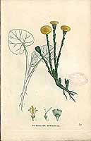  no thumbnail available